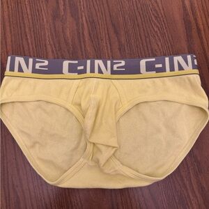C-IN2 C Theory Stretch Brief